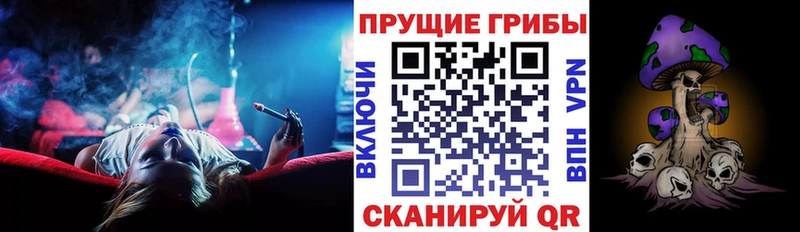 Галлюциногенные грибы Psilocybine cubensis  Тамбов 